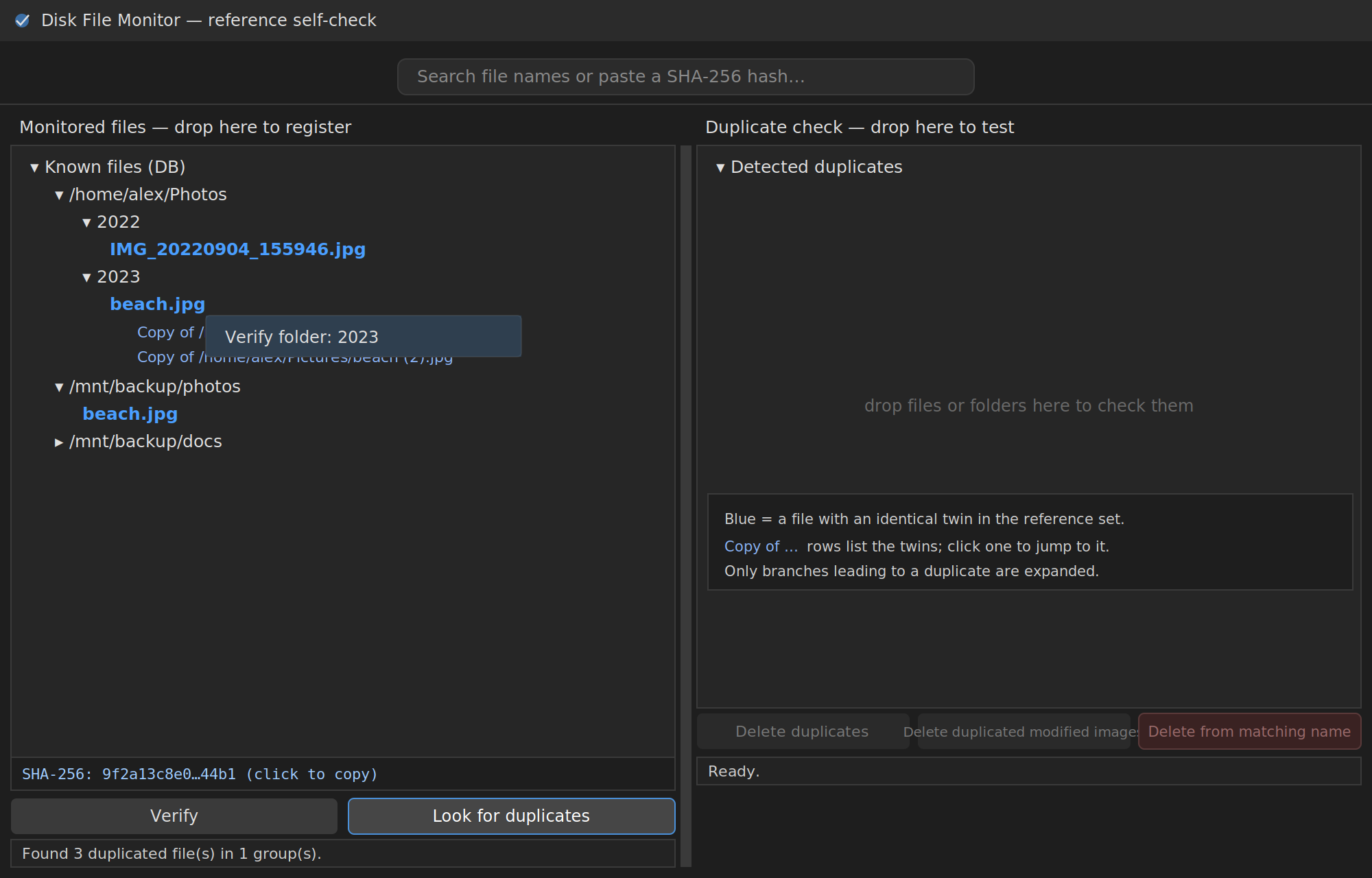 Disk File Monitor — 2/3